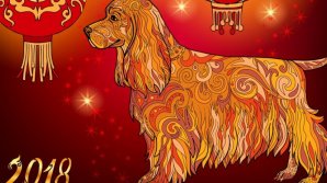 HOROSCOP: Ce lasă în urmă anul Cocoșului și ce ne pregătește anul Câinelui de pământ