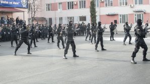 MAI APROAPE DE TINERI. Brigada Fulger oferă lecții gratuite elevilor din liceele din Capitală