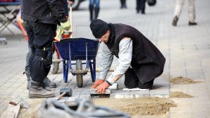 Fără muncă la negru! Persoanele care lucrează cu ziua vor putea fi angajate oficial