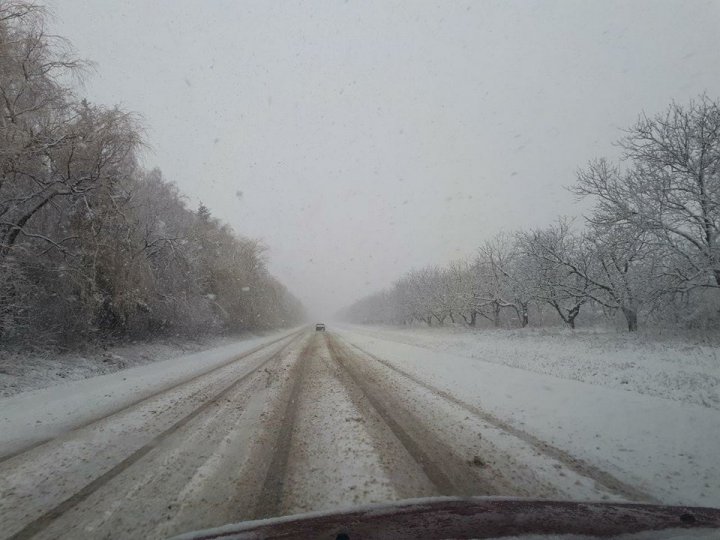 Atenție, șoferi! Precipitații sub formă de lapoviță în raioanele din nordul țării (FOTO)