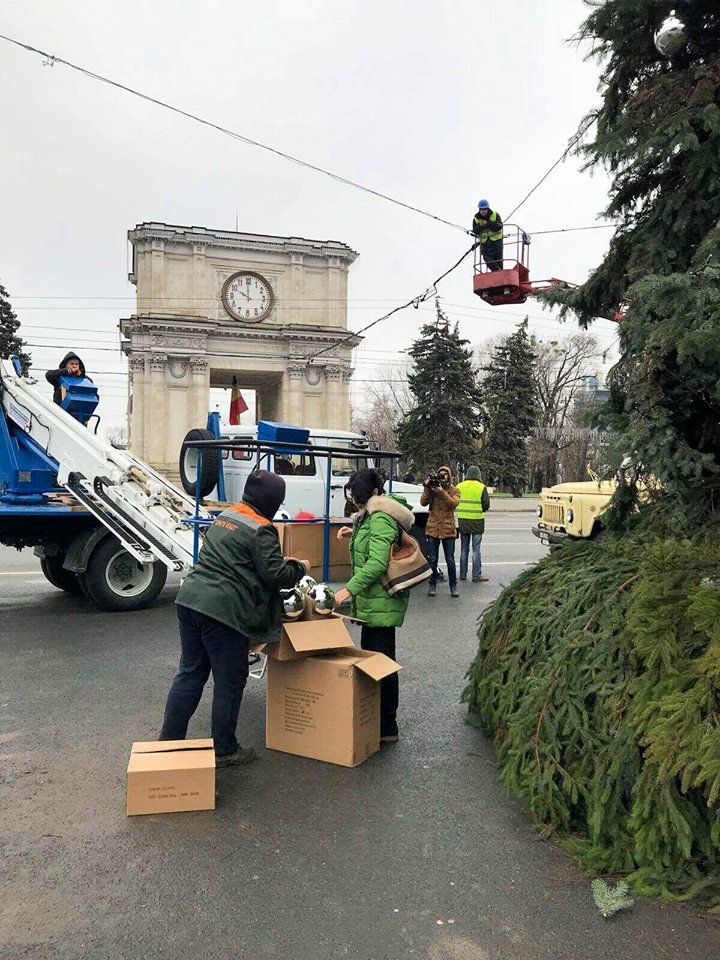 Silvia Radu: Împodobim bradul, de mâine vă puteți bucura cu toții de el (FOTO)