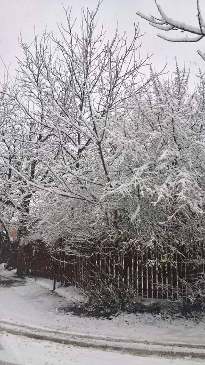 Decembrie a îmbrăcat în straie de sărbătoare orașul Briceni. Imagini inedite cu a doua zăpadă