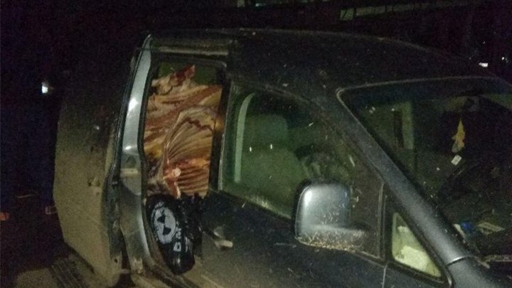 Jumătate de tonă de carne de porc, transportată în condiţii insalubre, urma să ajungă la Piaţa Centrală (FOTO)