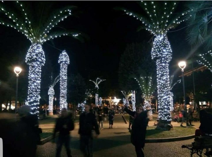 Imaginile care au stârnit CONTROVERSE pe reţele de socializare. Cum arată palmierii într-un oraş din Italia. Cu ce seamănă (FOTO)