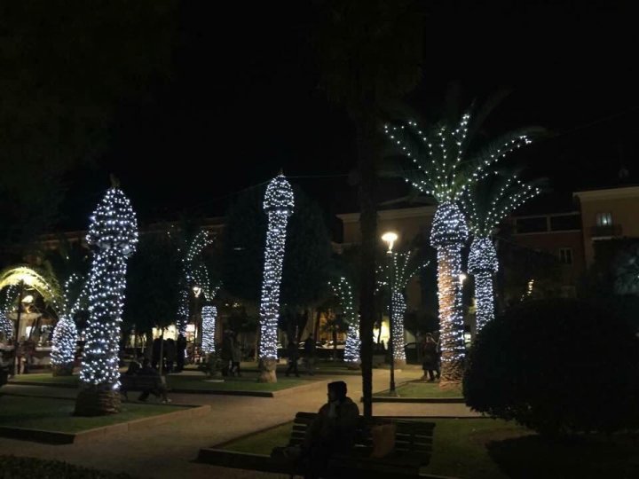 Imaginile care au stârnit CONTROVERSE pe reţele de socializare. Cum arată palmierii într-un oraş din Italia. Cu ce seamănă (FOTO)