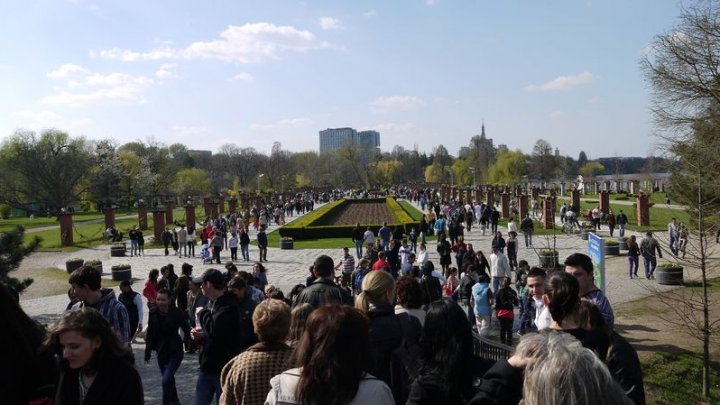 Parcul Herăstrău, cel mai mare din București, se va numi Parcul Regele Mihai I