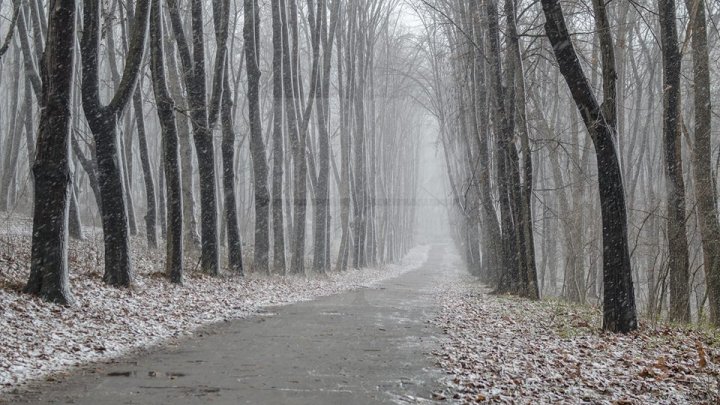 PRIMA NINSOARE în Chişinău. Imagini de poveste din inima Moldovei (FOTOREPORT)