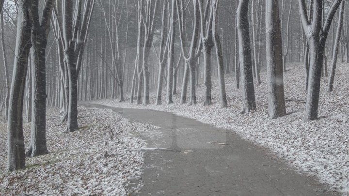 PRIMA NINSOARE în Chişinău. Imagini de poveste din inima Moldovei (FOTOREPORT)