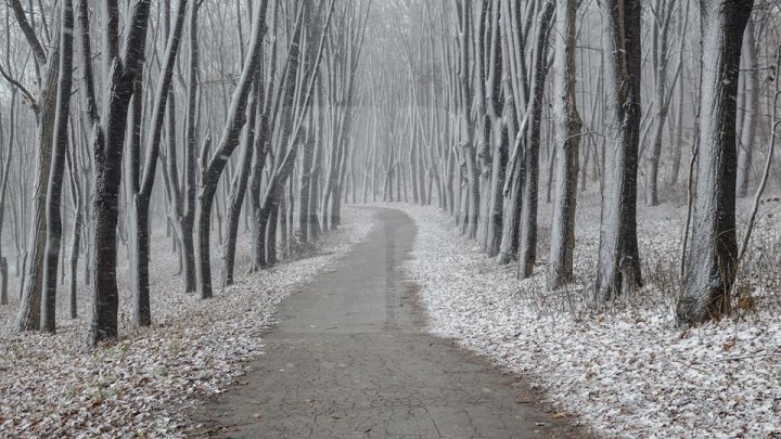 PRIMA NINSOARE în Chişinău. Imagini de poveste din inima Moldovei (FOTOREPORT)