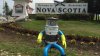 #realIT. Un robot din Scoția a rămas ȘOMER, după ce a fost concediat de patronii unui supermarket pe motiv de incompetență