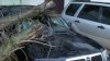 NOAPTE CU GHINION! Un bărbat s-a trezit cu maşina făcută ZOB, după ce un copac a căzut peste ea (FOTO/VIDEO)