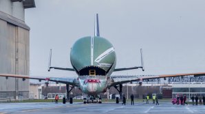 Primul Airbus Beluga XL a ieșit din uzina producătorului. Când va avea loc primul zbor