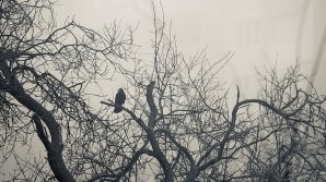 METEO 15 ianuarie. FRIG în toată ţara. Ce temperaturi ne aşteaptă la început de săptămână