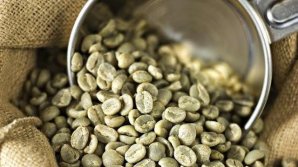 Sigur nu ştiai! Cum se prepară şi bea cafeaua verde. Mulţi oameni fac această greşeală