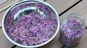 INCREDIBIL! Rețeta longevității de la românul care a trăit 138 de ani