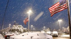 După 29 de ani, NINSORILE AU LOVIT FLORIDA. Autorităţile au declarat STARE DE URGENŢĂ