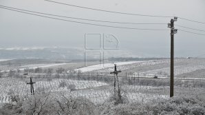166 de localități din 15 raioane, FĂRĂ LUMINĂ după ninsorile care au căzut peste Moldova