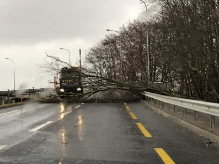 Furtuna Eleanor face primele victime în Franţa. Un om a murit, după ce peste el a căzut un copac (FOTO/VIDEO)