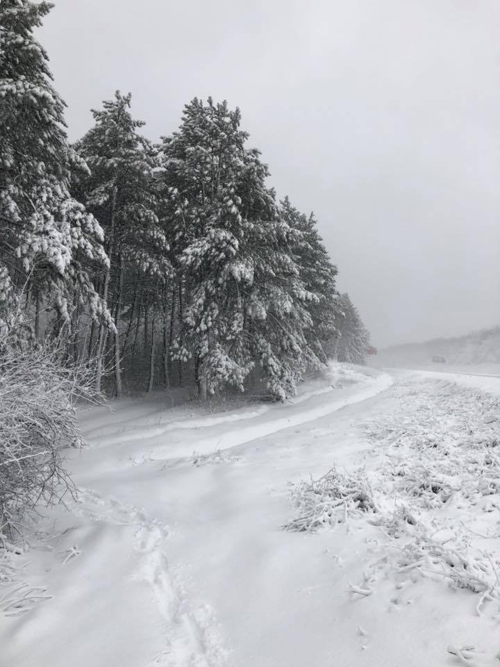 Imagini rupte din poveste! Iarna a creat UN PEISAJ SPECTACULOS pe traseul Chișinău - Leușeni (FOTO)  