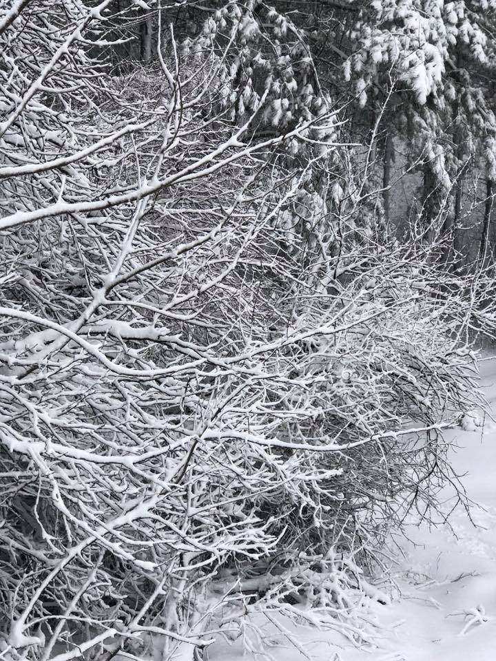 Imagini rupte din poveste! Iarna a creat UN PEISAJ SPECTACULOS pe traseul Chișinău - Leușeni (FOTO)  