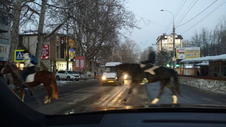 Metoda inedită pe care au găsit-o trei cetăţeni pentru a nu sta în ambuteiaj 