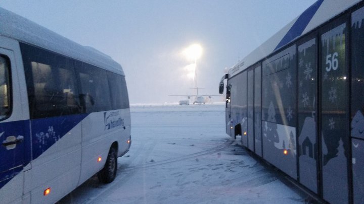 Accident pe aeroportul din Frankfurt. Pasageri răniţi în urma coliziunii dintre un autobuz şi un camion