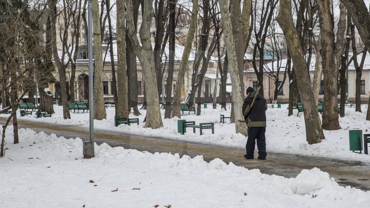 MORMANE DE ZĂPADĂ. Şefii de la Piaţa Centrală şi Spaţii Verzi, MUSTRAŢI PUBLIC de primarul Silvia Radu: VIN CU UN AVERTISMENT DUR 