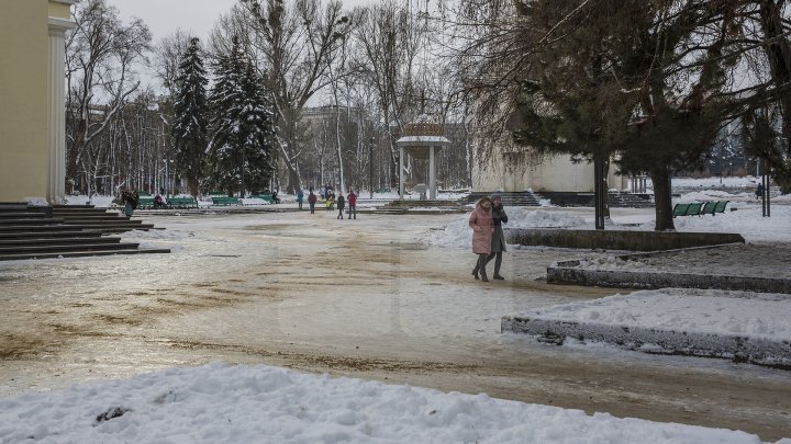 MORMANE DE ZĂPADĂ. Şefii de la Piaţa Centrală şi Spaţii Verzi, MUSTRAŢI PUBLIC de primarul Silvia Radu: VIN CU UN AVERTISMENT DUR 