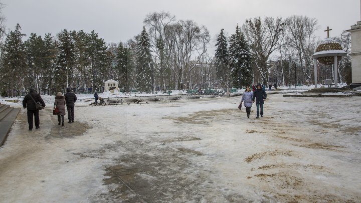 MORMANE DE ZĂPADĂ. Şefii de la Piaţa Centrală şi Spaţii Verzi, MUSTRAŢI PUBLIC de primarul Silvia Radu: VIN CU UN AVERTISMENT DUR 