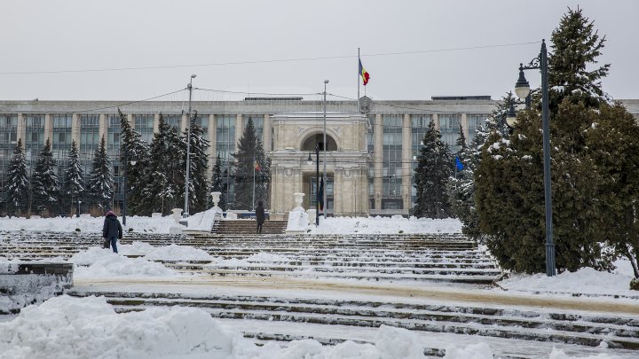 MORMANE DE ZĂPADĂ. Şefii de la Piaţa Centrală şi Spaţii Verzi, MUSTRAŢI PUBLIC de primarul Silvia Radu: VIN CU UN AVERTISMENT DUR 