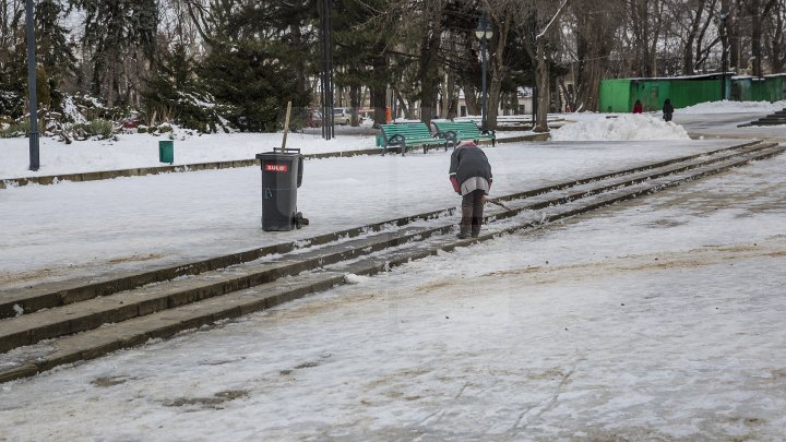 MORMANE DE ZĂPADĂ. Şefii de la Piaţa Centrală şi Spaţii Verzi, MUSTRAŢI PUBLIC de primarul Silvia Radu: VIN CU UN AVERTISMENT DUR 