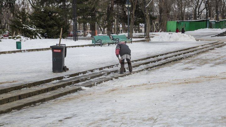 MORMANE DE ZĂPADĂ. Şefii de la Piaţa Centrală şi Spaţii Verzi, MUSTRAŢI PUBLIC de primarul Silvia Radu: VIN CU UN AVERTISMENT DUR 