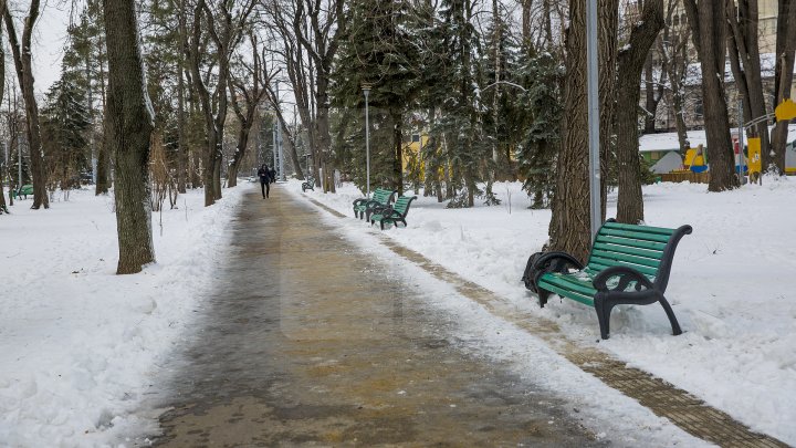 MORMANE DE ZĂPADĂ. Şefii de la Piaţa Centrală şi Spaţii Verzi, MUSTRAŢI PUBLIC de primarul Silvia Radu: VIN CU UN AVERTISMENT DUR 