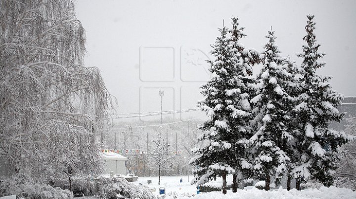 Situaţia în Capitală, ca urmare a condiţiilor meteo: Strada Vadul lui Vodă, închisă