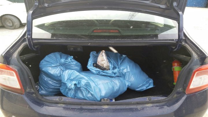 Un bărbat de 54 de ani s-a ales cu dosar penal pentru că transporta 50 kilograme de peşte fără a deţine documente legale