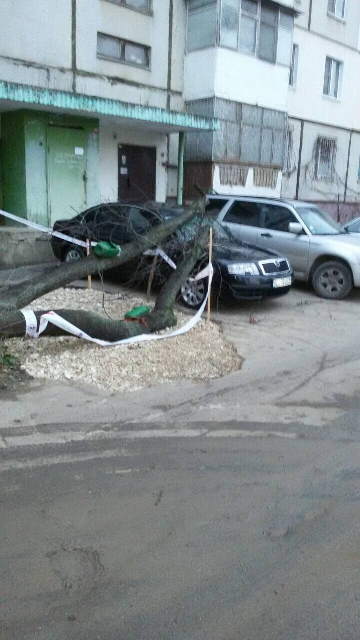 NOAPTE CU GHINION! Un bărbat s-a trezit cu maşina făcută ZOB, după ce un copac a căzut peste ea (FOTO/VIDEO)