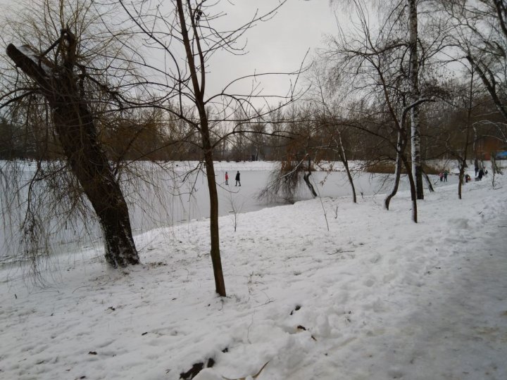 Pericol în parcul Valea Trandafirilor. Câţiva copii s-au aventurat pe gheaţa subţire a lacului (FOTO)