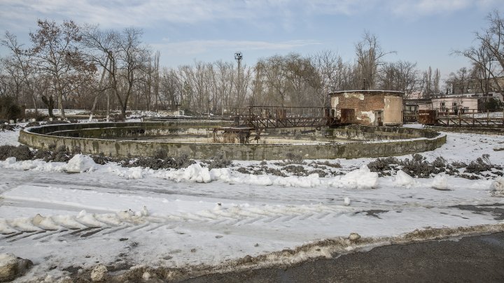 Veste bună pentru locuitorii Capitalei. Au început lucrările de reparație a Staţiei de Epurare a apelor reziduale (FOTOREPORT)