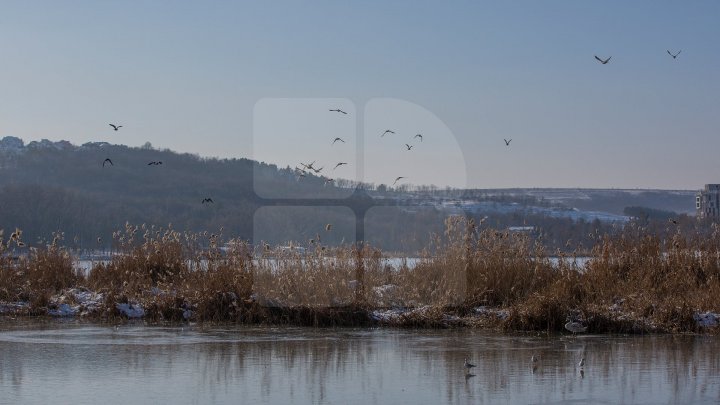 Vremea se încălzeşte în toată ţara. Ne aşteaptă temperaturi de până la opt grade