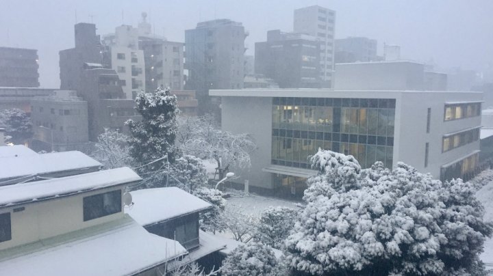 Ninsori abundente la Tokyo. Mii de persoane au rămas izolate şi alte aproximativ 200 au fost rănite