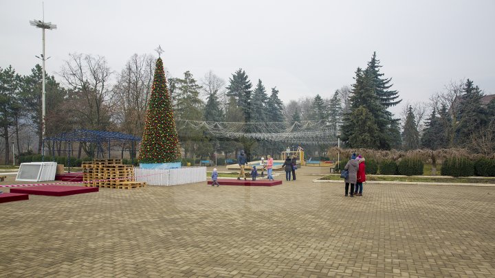 Aventură de iarnă la Nisporeni. Fundația lui Vlad Plahotniuc Edelweiss va deschide un parc tematic (FOTO)