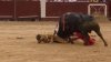 Momente dramatice! Un matador a fost luat în coarne de taurul pe care voia să-l ucidă