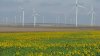 Olandezii construiesc cel de-al cincilea parc eolian din lume în România, în judeţul Buzău