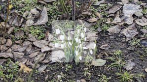 Vești bune de la meteorologi. Vremea se încălzește în următoarele zile