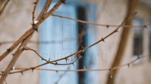 Profeţii înfricoşătoare despre vremurile pe care le vom trăi. Părintele Argatu a văzut lucruri îngrozitoare: Se vor vinde unii pe alţii