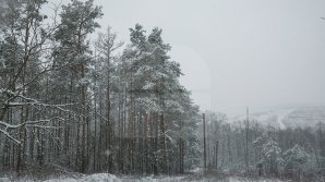 Va ninge în toată ţara. Câte grade vor indica termometrele în următoarele zile