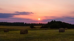 OBICEIURI ŞI TRADIŢII. Nu vorbi despre șerpi în martie. Sătenii încă le mai respectă