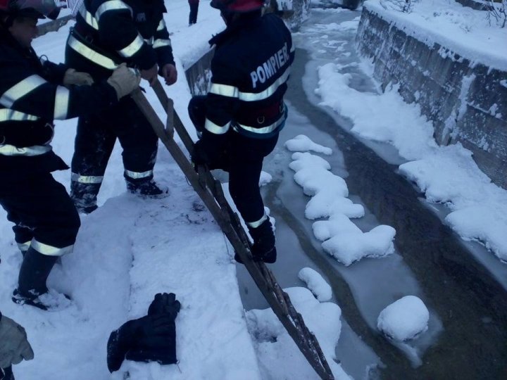 Un pui de căprioară aproape înghețat, salvat de la moarte (FOTO)