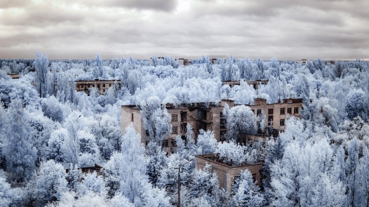 "Un paradis de pe altă planetă!" Imagini infraroșu spectaculoase de la Cernobîl