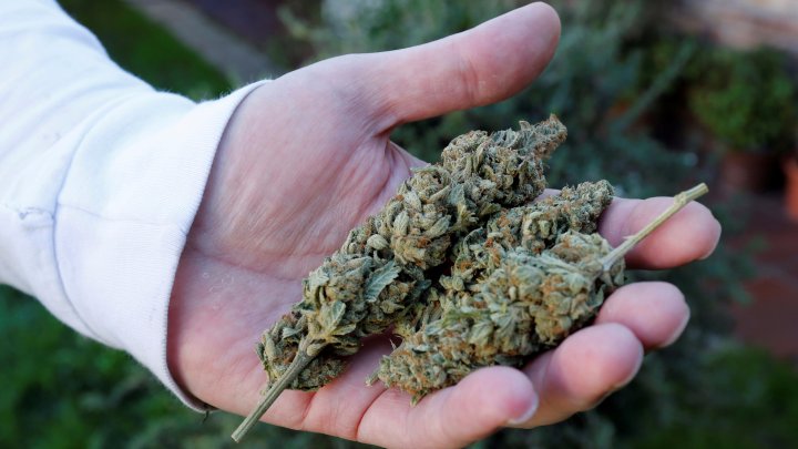 Mii de americani care au primit condamnări pentru consum de marijuana vor scăpa de pedeapsă